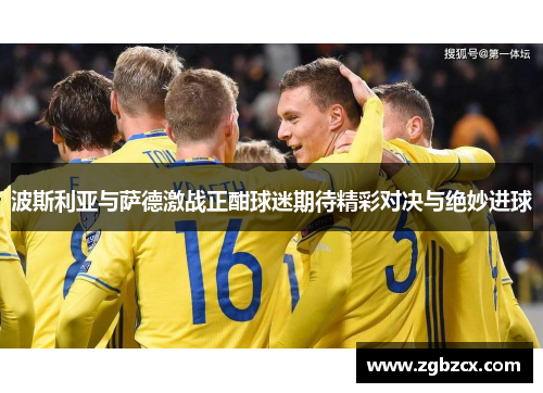 波斯利亚与萨德激战正酣球迷期待精彩对决与绝妙进球