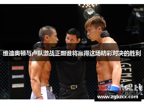 维迪奥顿与卢队激战正酣谁将赢得这场精彩对决的胜利